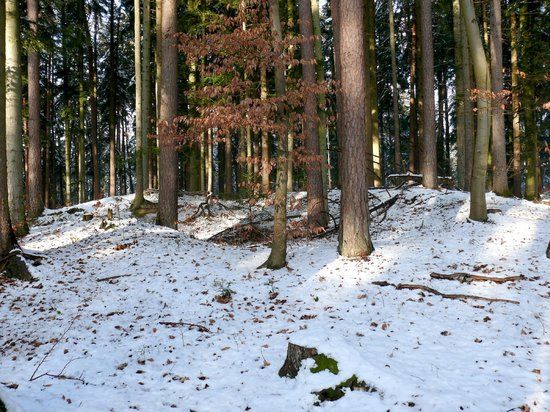 Grabhügelfeld Ottenbronn