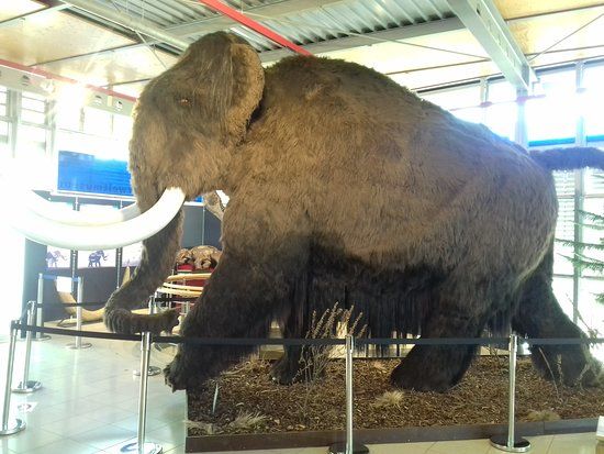 GEOSKOP Urweltmuseum