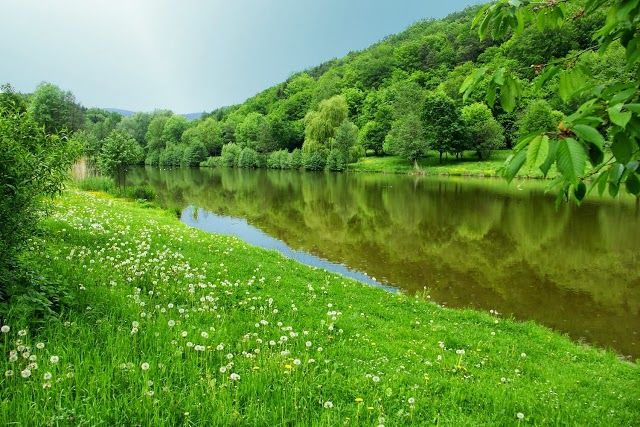Wild- und Wanderpark Südliche Weinstraße