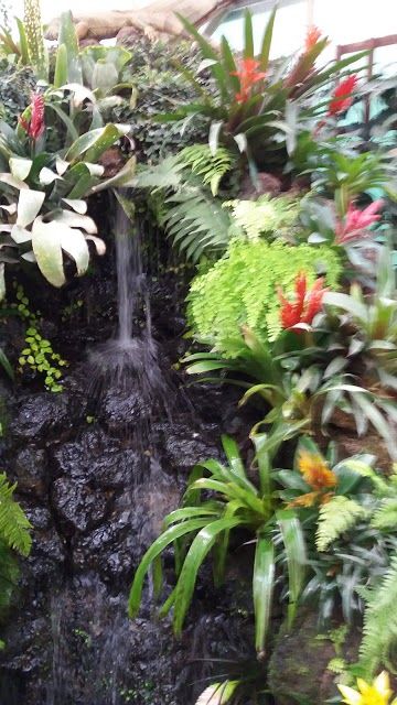 Garten der Schmetterlinge Schloss Sayn