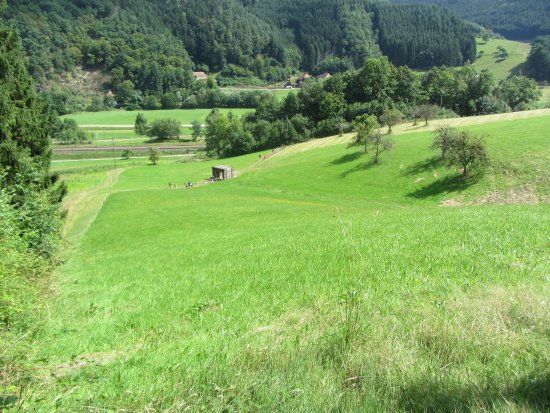 Park mit allen Sinnen