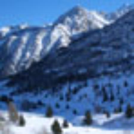 Gutsschänke im Kirschfeld