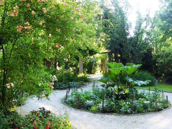 Botanischer Garten
