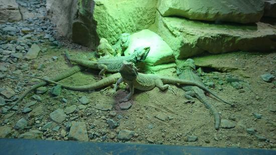 Exotarium Oberhof