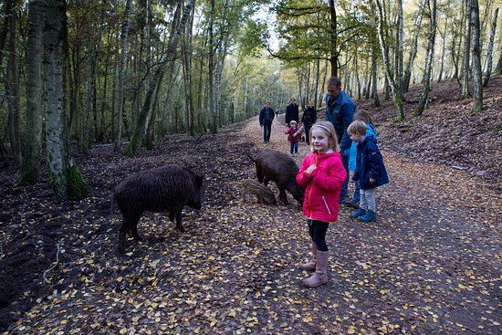 Hochwildpark Rheinland