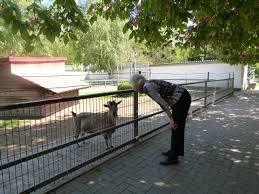 Tierpark Birkenheide