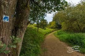 Traumpfädchen Eifeltraum