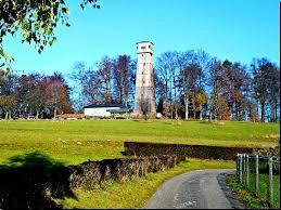Steinknickle