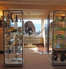 Das Deutsche Drachenmuseum e.V