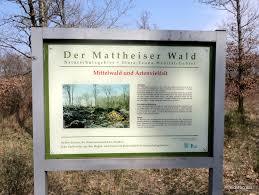 Naturschutzgebiet Mattheiser Wald