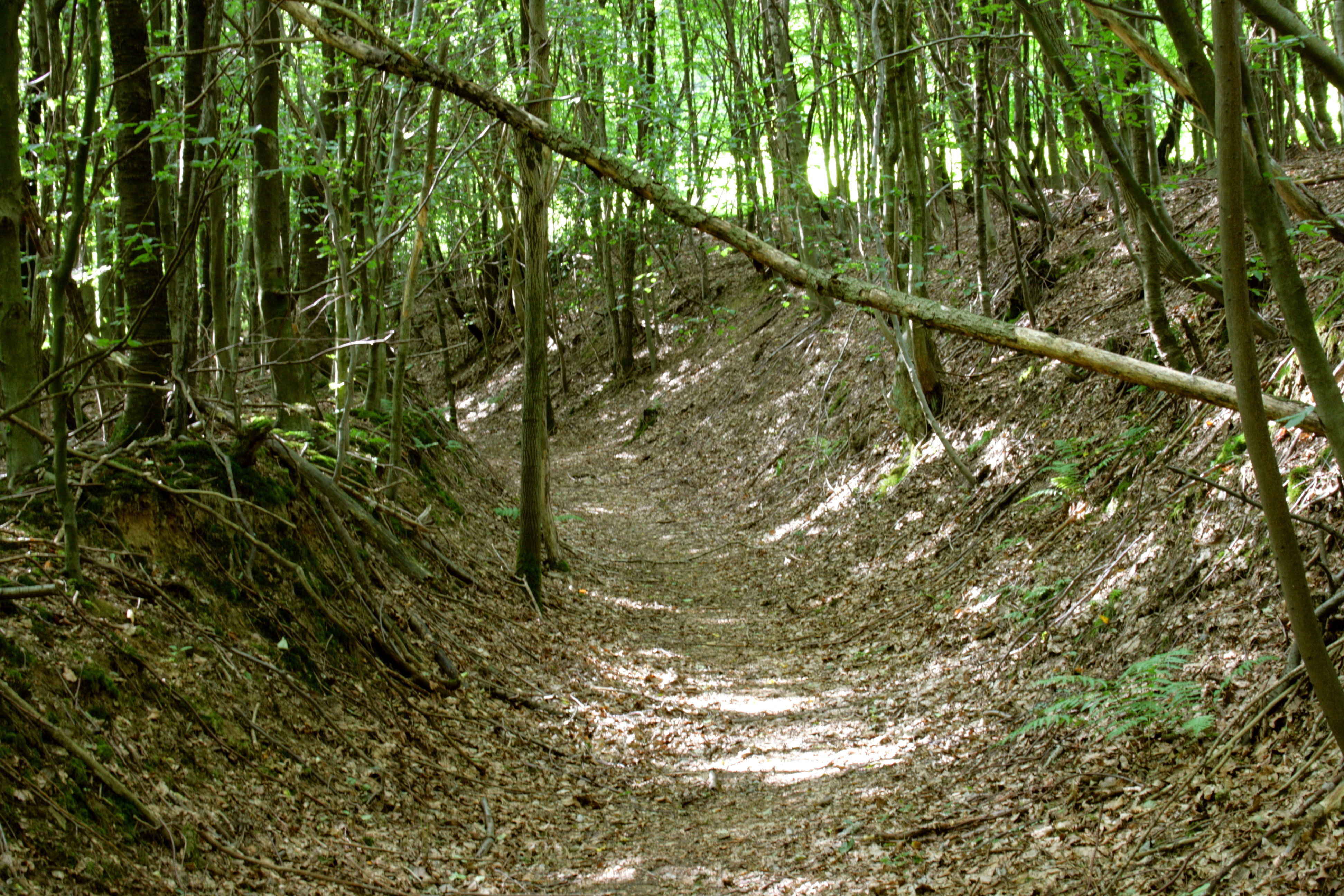 Eifgenburg