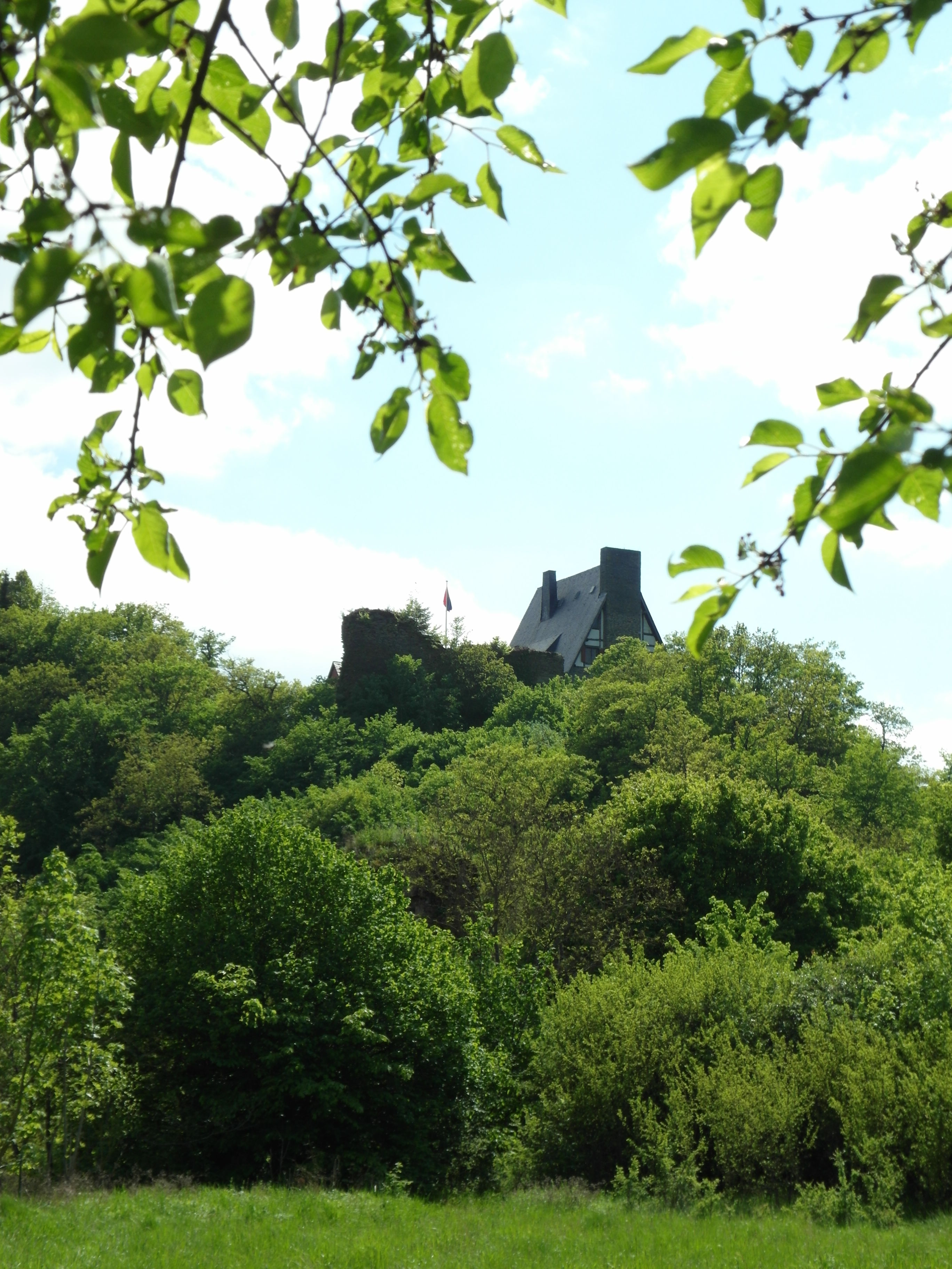 Burg Waldeck