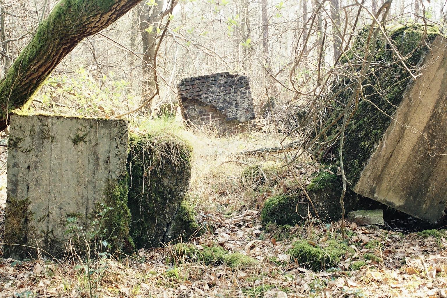 V1-Stellungen im Nutscheid