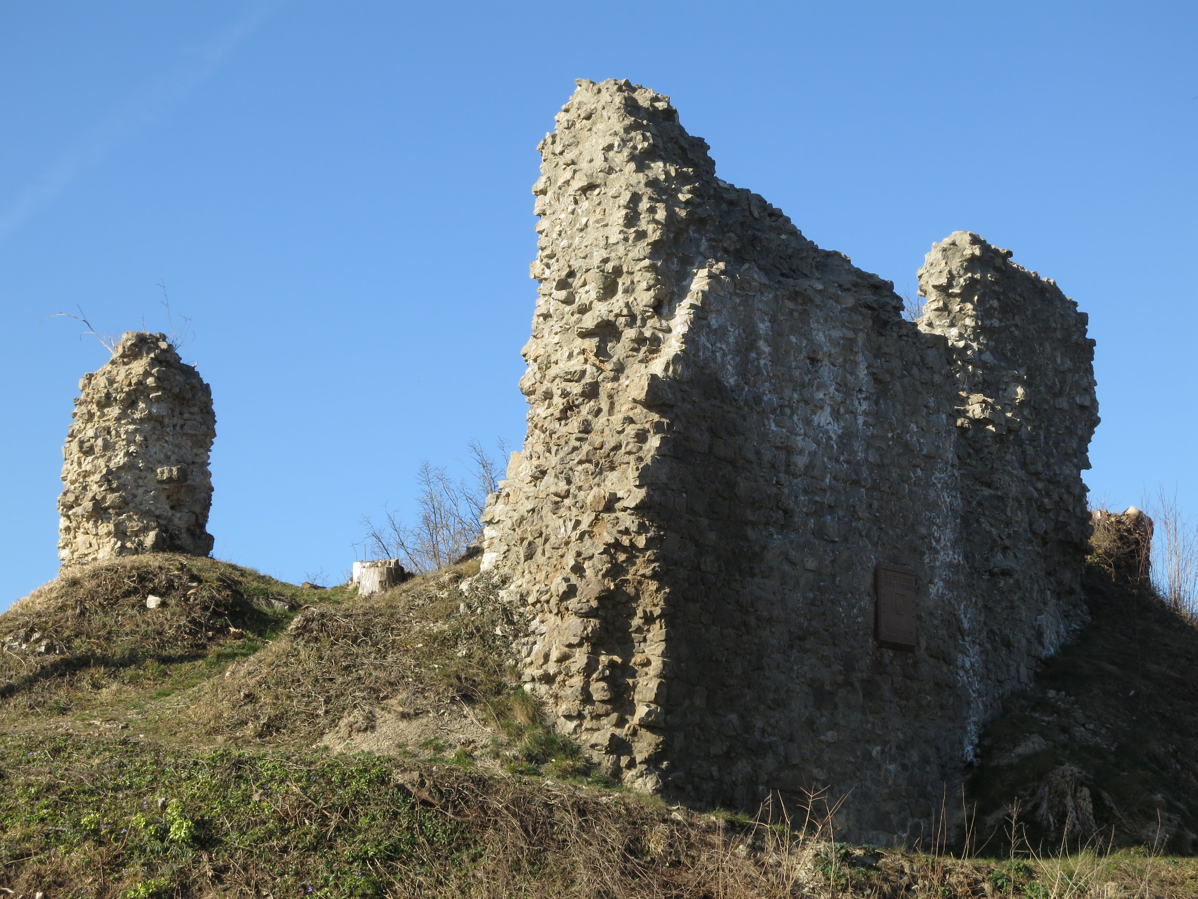 Burg Schenkenberg