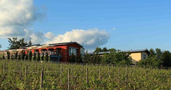 Strausswirtschaft Freimuth