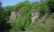 Wolsberge