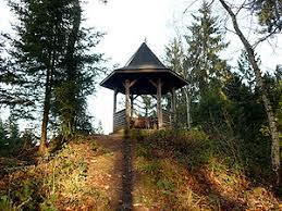 Goldkopf