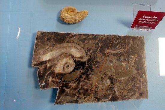 Lahn-Marmor-Museum