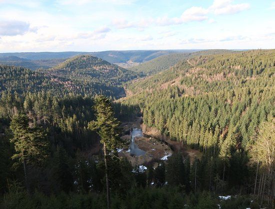 Ellbachsee Aussichtsplattform