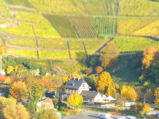 Restaurant Bahnsteig 1